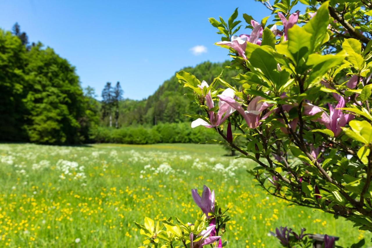Ganzes Haus Mit Grossem Garten Und Eigener Sauna ウンターヴォッセン エクステリア 写真
